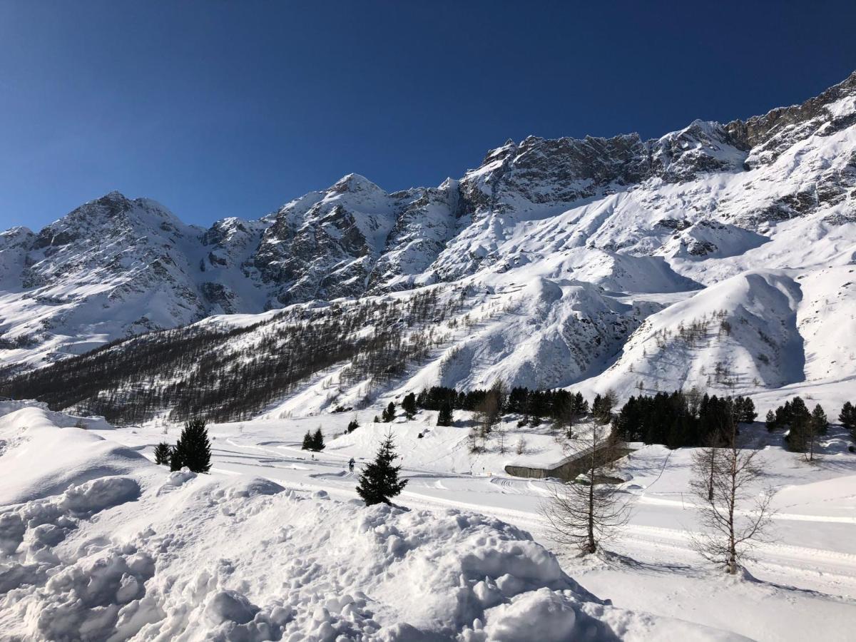 Il Piccolo Rifugio - Casa Valtournenche Apartment Bagian luar foto